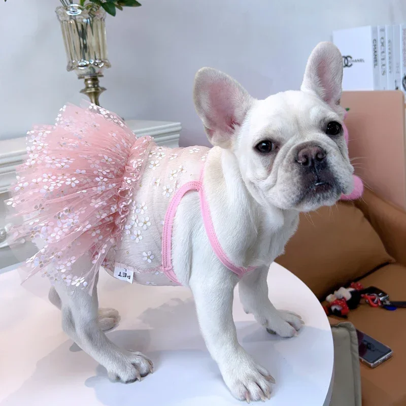 Gaun Pug Musim Panas Pakaian B - Summer Clothing In French ulasan dan harga