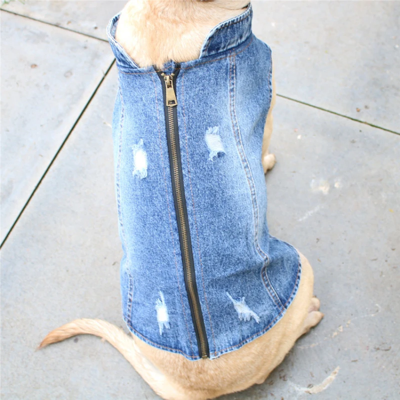 Pakaian Anjing Besar Musim Pan - Summer Clothing In French ulasan dan harga
