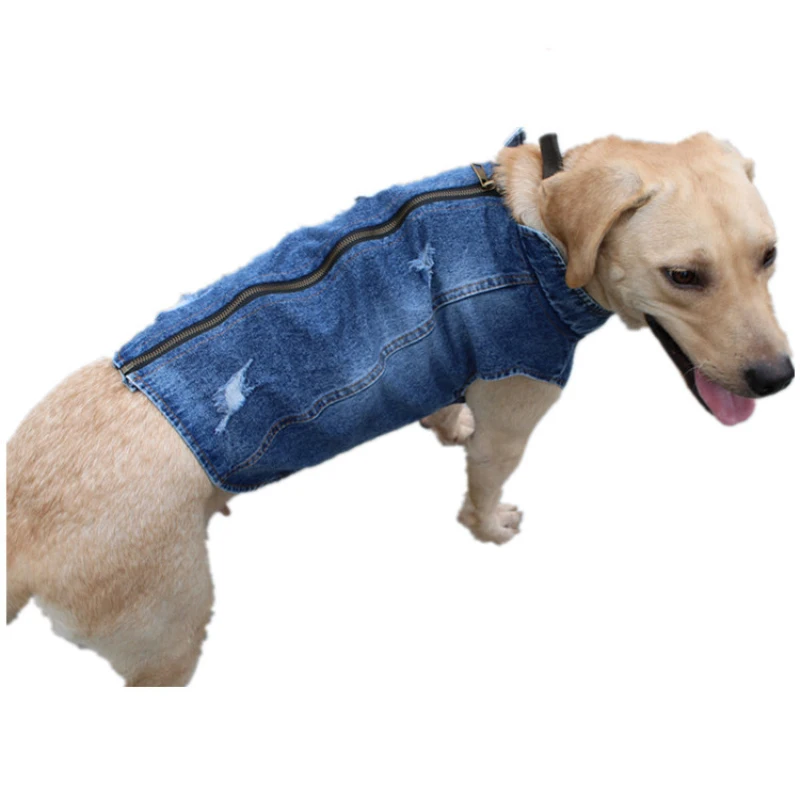 Pakaian Anjing Besar Musim Pan - Summer Clothing In French ulasan dan harga